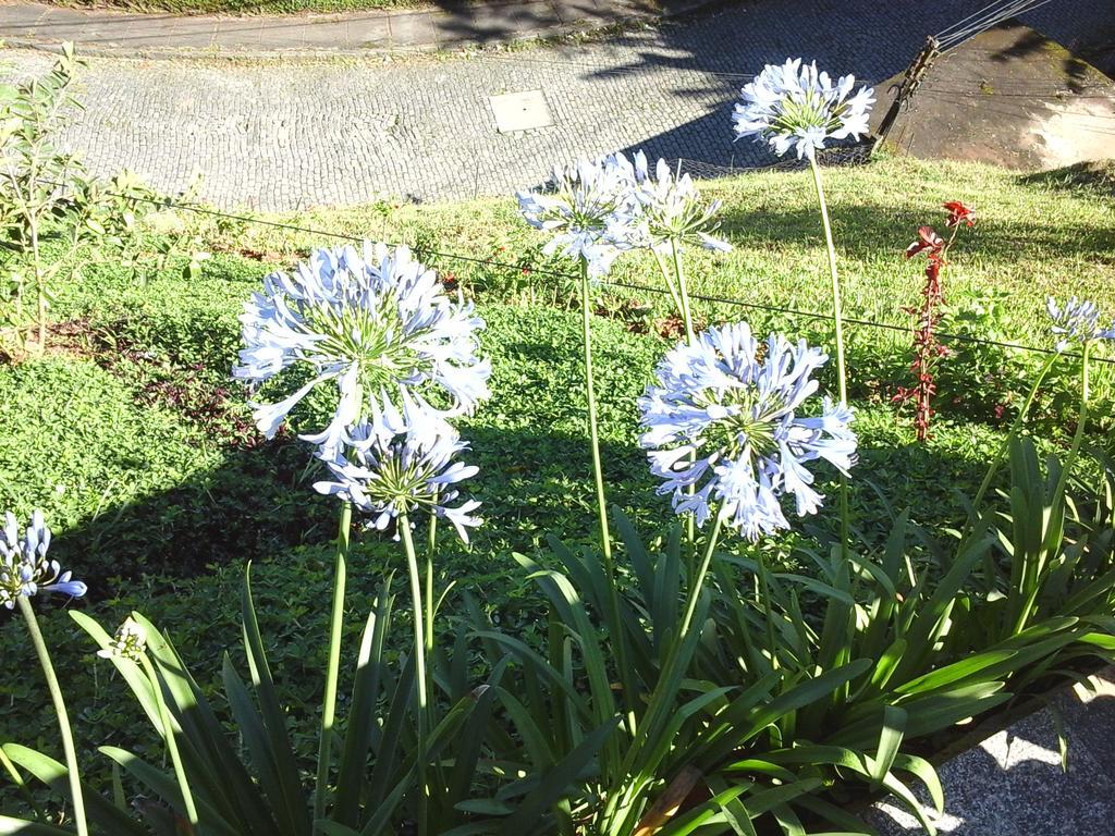 Apartamento Na Serra Lejlighed Petrópolis Eksteriør billede